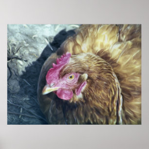 CHICKENS ポスター