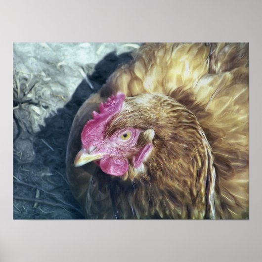 CHICKENS ポスター (正面)