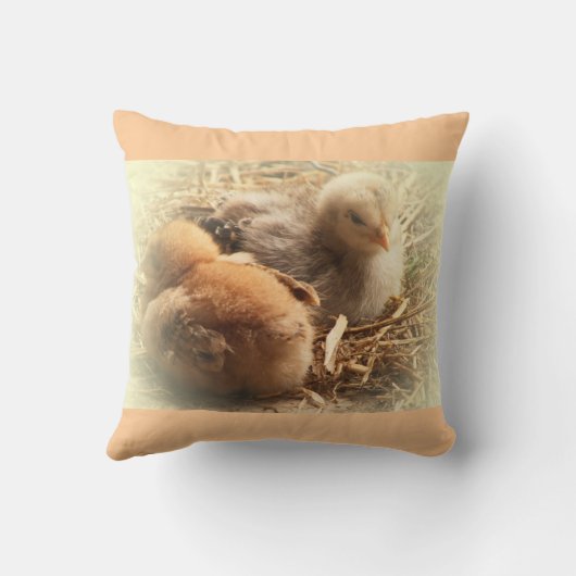 chickens chicks with feather クッション (裏面)