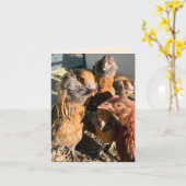 Chickens Gathering Close-Up Photograph カード (黄色い花)