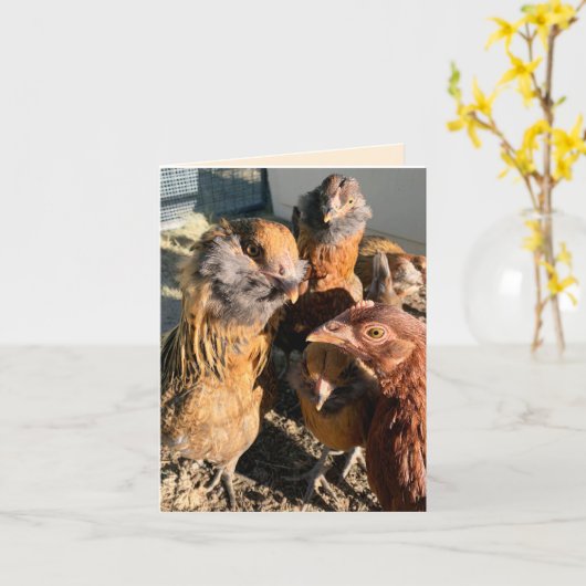 Chickens Gathering Close-Up Photograph カード (黄色い花)