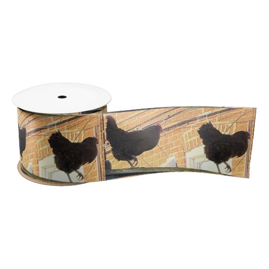 Chickens Walking Photo Ribbon  サテンリボン (リール)