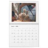 Chickens Wall Calendar Modern Norman Rockwell カレンダー (3月 2026)