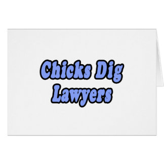 Chicks Dig弁護士2