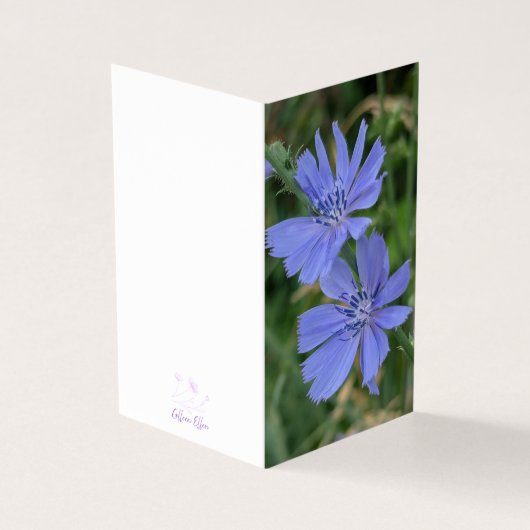 Chicory Flower Folded Note Card (外部)