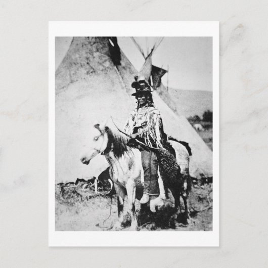 「Chief Looking Glass」、c.1875（写真はB/w） ポストカード (正面)