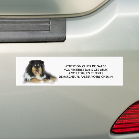 CHIEN DE GARDE バンパーステッカー (車上)