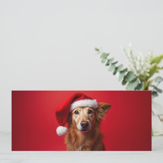 Chien drôle sur fond rouge (スタンド正面)