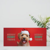 Chien fun - Merry Every Thing (スタンド正面)