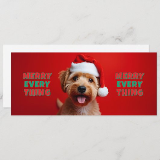 Chien fun - Merry Every Thing (正面/裏面)