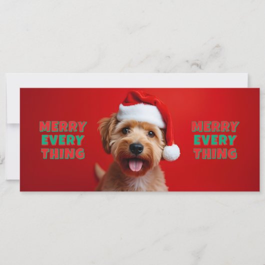 Chien fun - Merry Every Thing (正面)