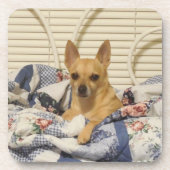 Chihuahuaまたはあなたの写真6ピースコースターセット コースター (正面)