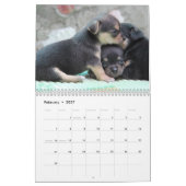 Chihuahuaカレンダー2025愛Chi追加の写真 カレンダー (2月 2027)