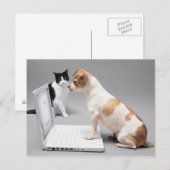 Chihuahuaノートパソコンの画面を見て ポストカード (正面/裏面)