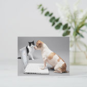 Chihuahuaノートパソコンの画面を見て ポストカード (スタンド正面)