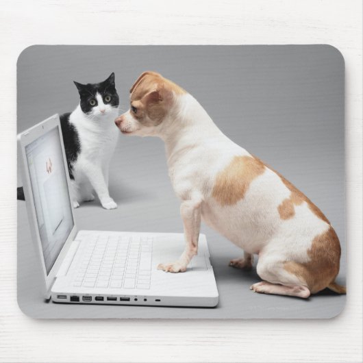 Chihuahuaノートパソコンの画面を見て マウスパッド (正面)