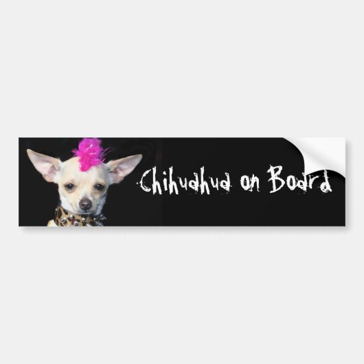 Chihuahuaボードのバンパーステッカー バンパーステッカー (正面)