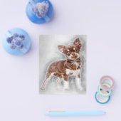 Chihuahua見てカメラ_犬愛好家 チラシ (シングル)