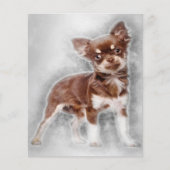 Chihuahua見てカメラ_犬愛好家 チラシ (正面)
