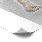 Chihuahua見てカメラ_犬愛好家 ポスター (角)