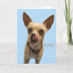 Chihuahua誕生日カードのフォーカスによる原因 カード