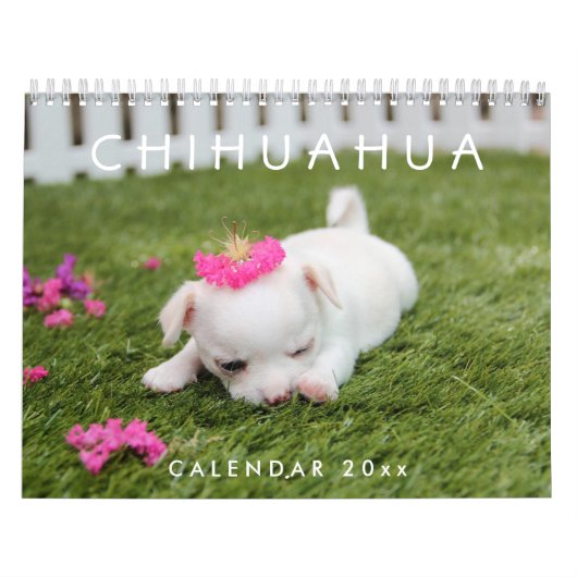 Chihuahua Calendar 2025写真の追加 カレンダー (カバー)