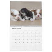 Chihuahua Calendar 2025写真の追加 カレンダー (2月 2026)