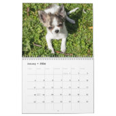 Chihuahua Calendar 2025写真の追加 カレンダー (1月 2026)