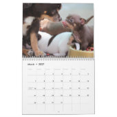 Chihuahua Calendar 2025写真の追加 カレンダー (3月 2027)