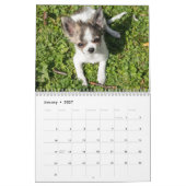 Chihuahua Calendar 2025写真の追加 カレンダー (1月 2027)