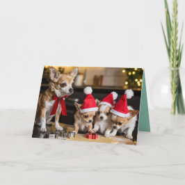 Chihuahua Christmas Cookie Card カード