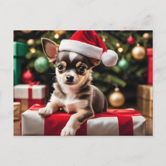 Chihuahua Christmas Puppy シーズンポストカード