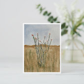Chihuahua Desert Ocotillo Postcard ポストカード (スタンド正面)