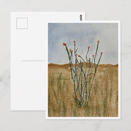 Chihuahua Desert Ocotillo Postcard ポストカード (正面/裏面)