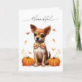 Chihuahua Fall Thankful Thanksgiving Greeting Card カード (正面)