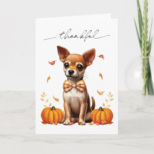Chihuahua Fall Thankful Thanksgiving Greeting Card カード (正面)