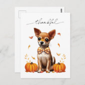 Chihuahua Fall Thankful Thanksgiving Greeting Card ポストカード (正面/裏面)