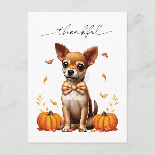 Chihuahua Fall Thankful Thanksgiving Greeting Card ポストカード (正面)