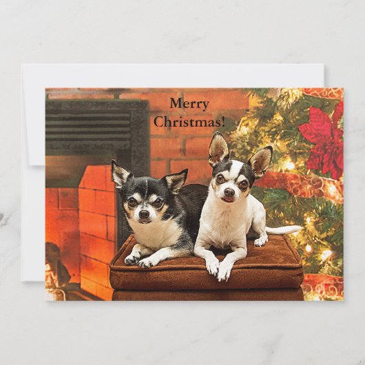 Chihuahua Holiday Greeting Card シーズンカード (正面)