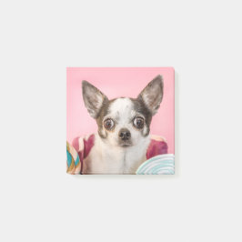 Chihuahua Hund auf rosa ポストイット