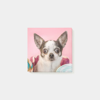 Chihuahua Hund auf rosa ポストイット