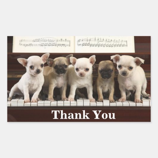 Chihuahua Thank You Puppy Dogs ( Chewawa Chiwawa ) 長方形シール (正面)