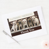 Chihuahua Thank You Puppy Dogs ( Chewawa Chiwawa ) 長方形シール (封筒)