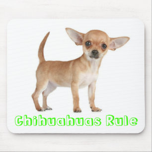 Chihuahuasルールパピードッグコンピュータマウスパッド マウスパッド
