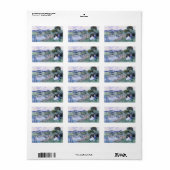 Childe Hasssam – 女性読の ラベル (フルシート)