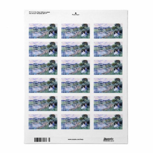 Childe Hasssam – 女性読の ラベル (フルシート)