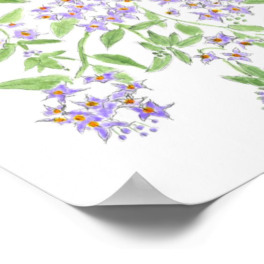 Chilean potato tree cushion ポスター (角)