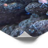 Chill Hawksbill ポスター (角)