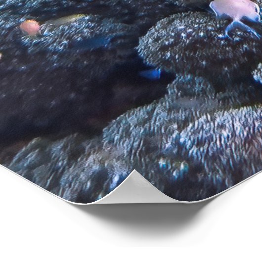 Chill Hawksbill ポスター (角)