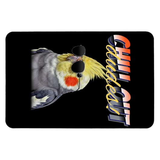 Chill Out Dudes マグネット (横)